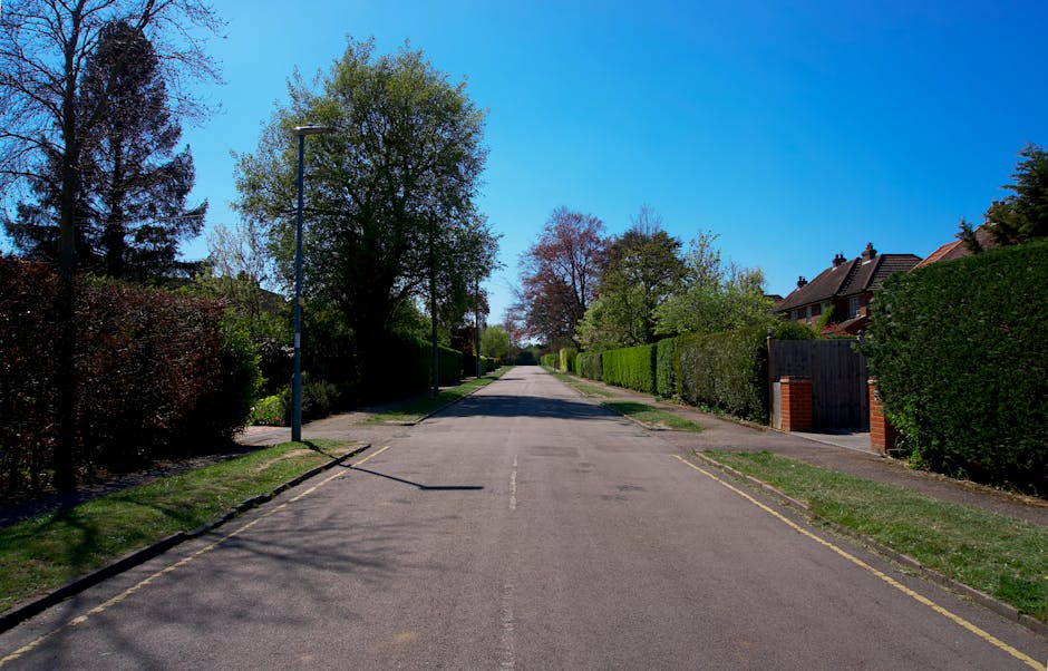 A quiet suburban street scene with a clear blue sky, lined with tall trees and well-maintained hedges on both sides. The road is paved with asphalt and has a designated parking lane marked by yellow lines along the curb. Residential houses with brick and tiled roofs are partially visible behind the greenery, with some properties featuring fenced front yards. A tall streetlamp stands on the left side of the street, casting a shadow on the pavement. The scene provides a calm setting suitable for home relocation services, with no moving activity currently visible, but it reflects the environment where furniture transport and packing and moving processes could take place, and [COMPANY_NAME] might operate for local removals and house moves in the area.